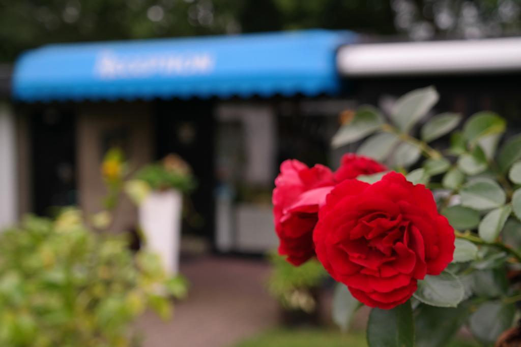 Am Hallenbad Hotel Garni Ratingen Zewnętrze zdjęcie